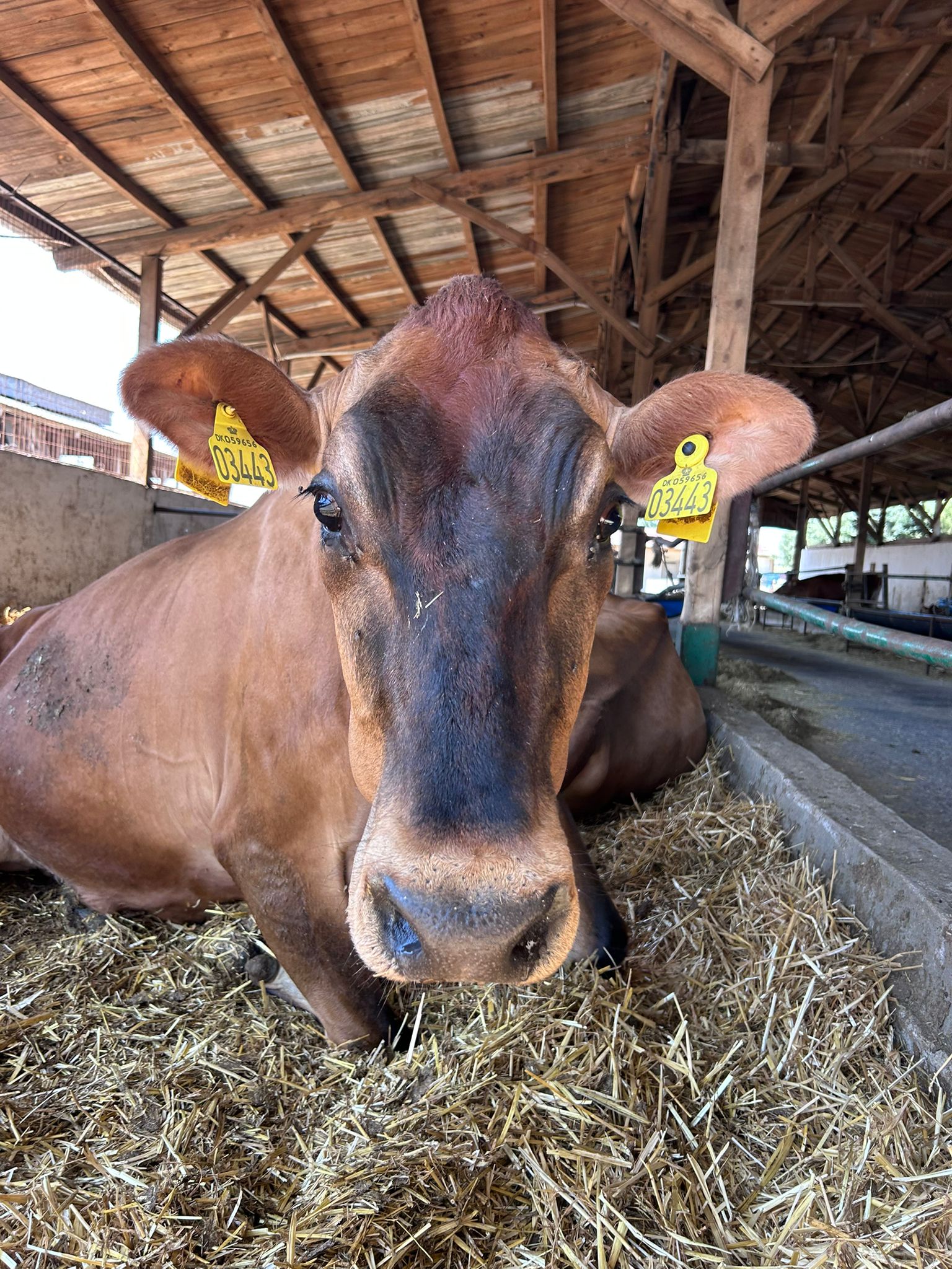 Tesis Görüntüsü 9