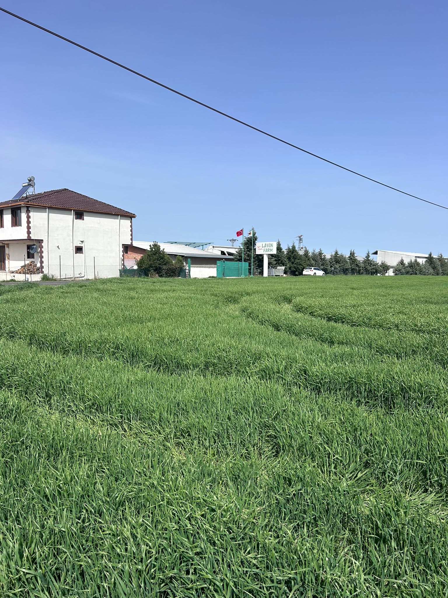 Tesis Görüntüsü 3