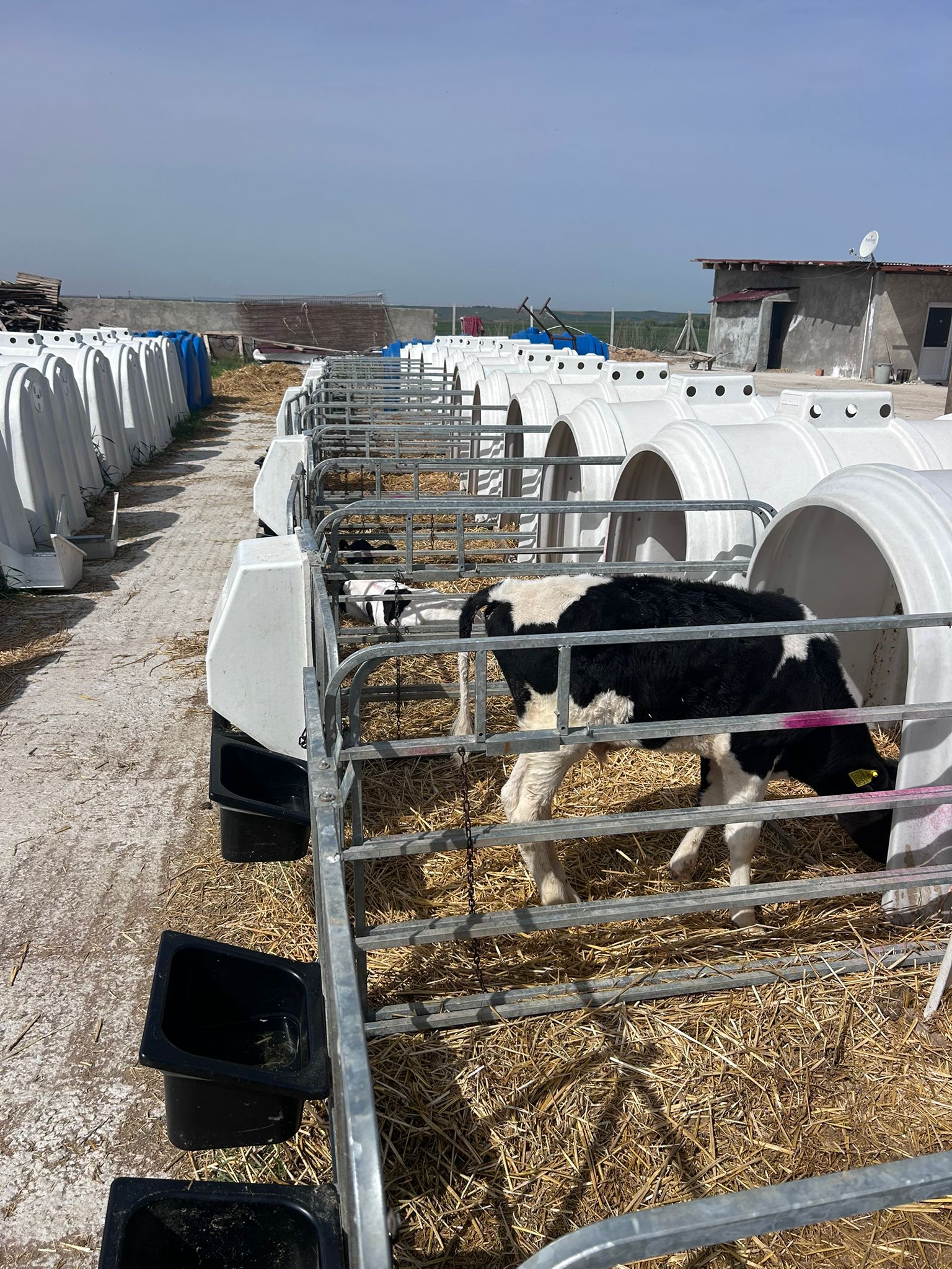 Tesis Görüntüsü 4