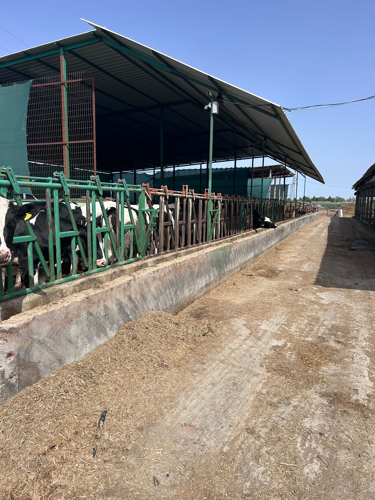 Tesis Görüntüsü 5